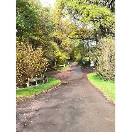 On The Eifelsteig 公寓 罗埃特根