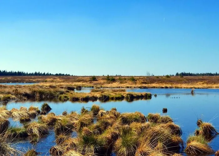 On The Eifelsteig Lägenhet Roetgen